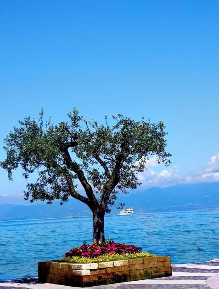 Mahatma Residence Lake View Λατζίζε Δωμάτιο φωτογραφία